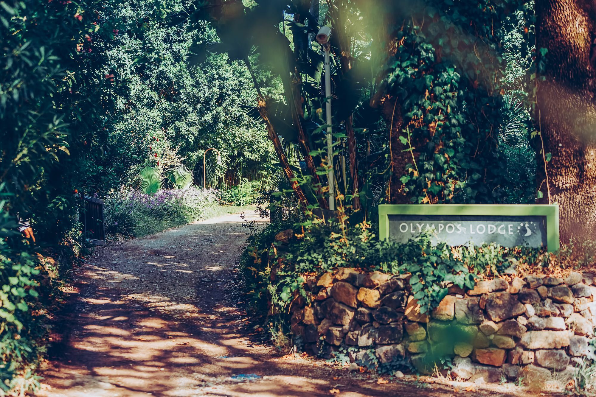 Olympos Lodge ชิลารึ ภายนอก รูปภาพ