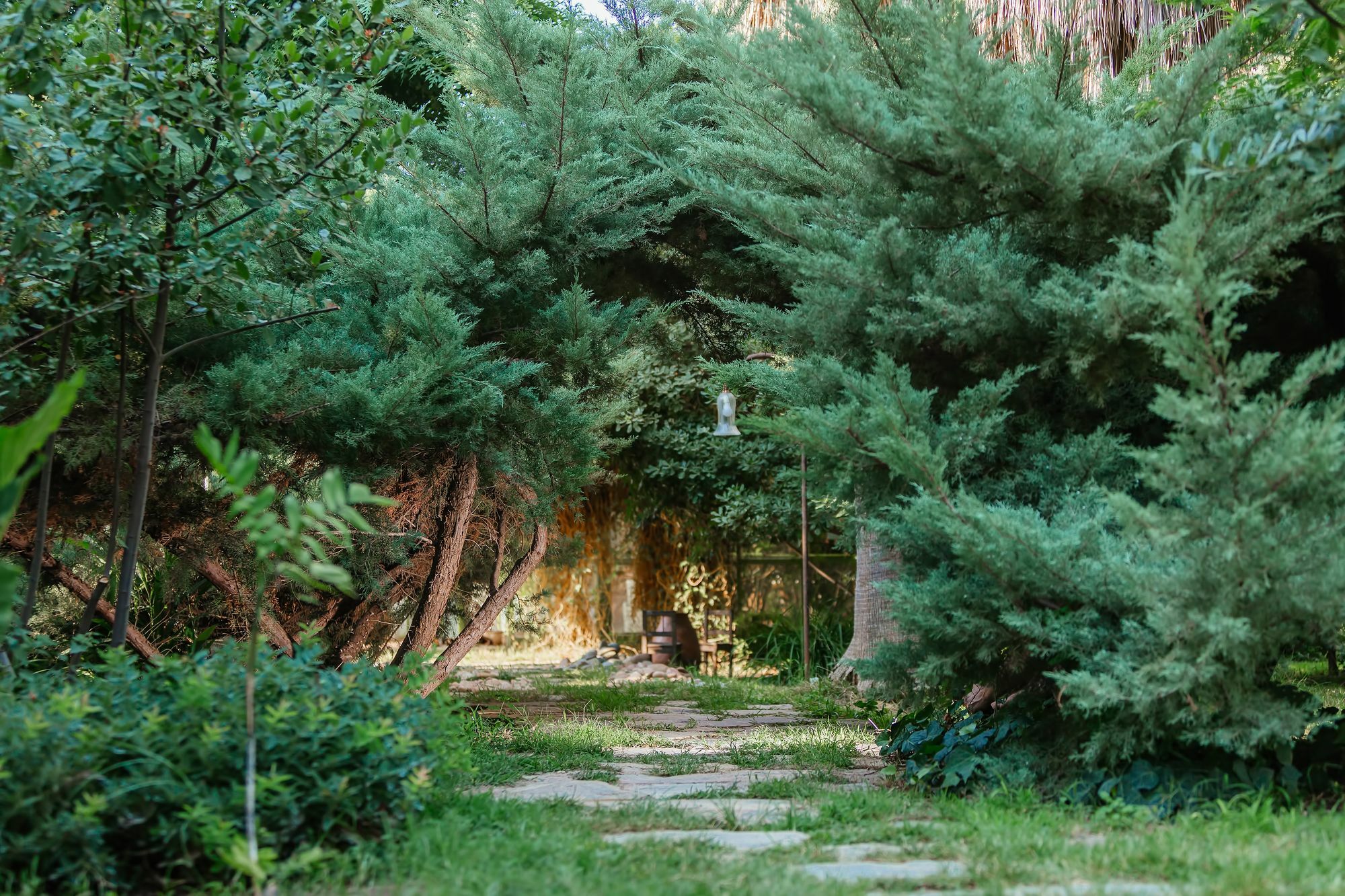 Olympos Lodge ชิลารึ ภายนอก รูปภาพ